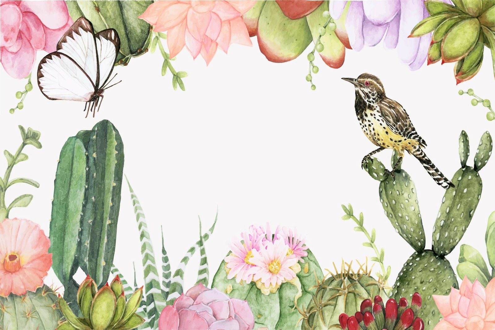 Set tapetesh për banjo (2 copë), Mijolnir, CT-5208