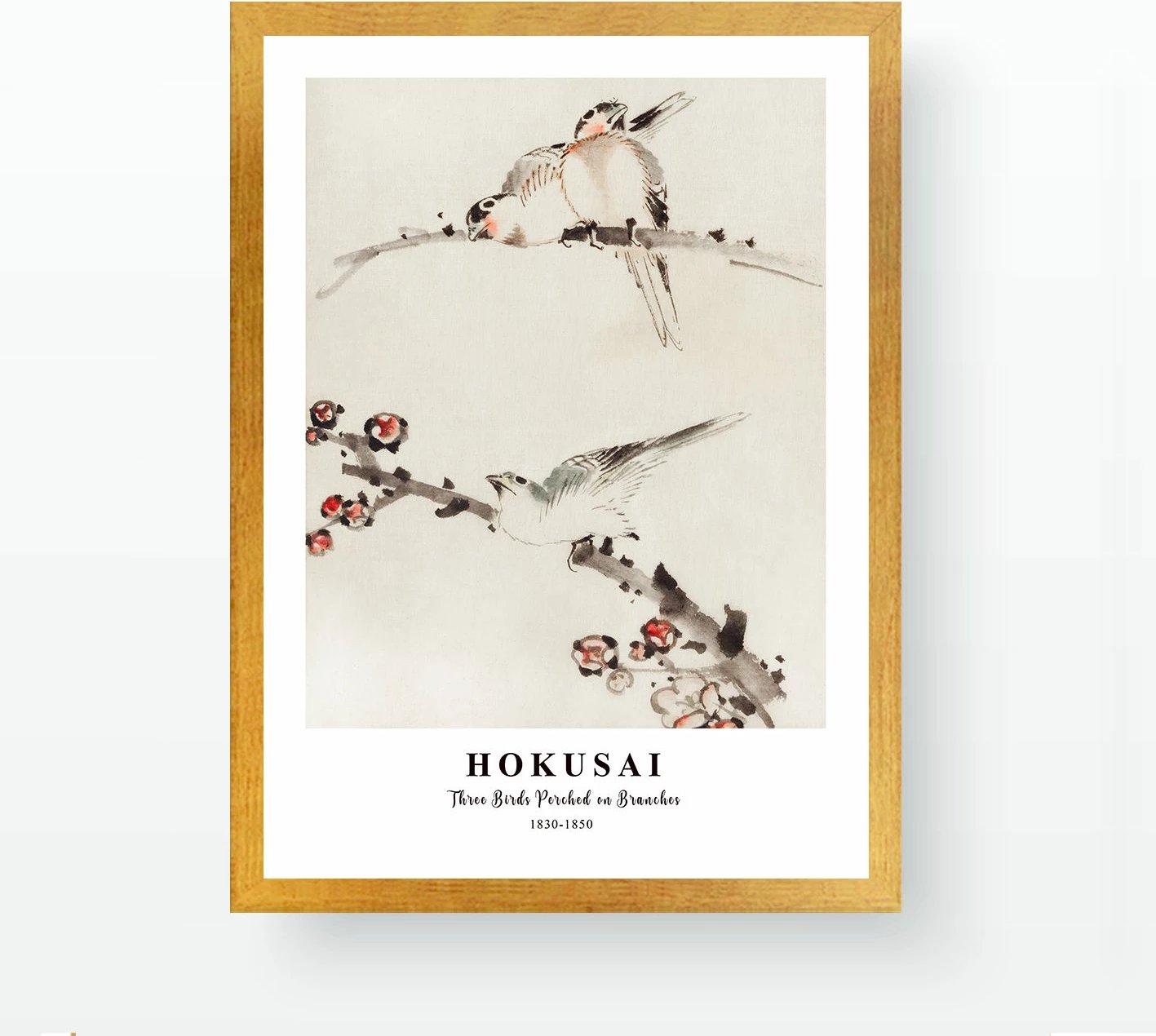 Pikturë dekorative me kornizë, Wallity, AC426233-5575, shumëngjyrëshe, 55x75cm