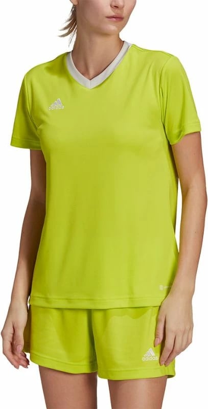 Maicë për Femra adidas Entrada 22 Jsy, ngjyrë jeshile HC5080