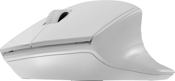 Maus wireless Natec Siskin 2, 1600 DPI, Bluetooth 5.0 + 2.4GHz, Bardhë