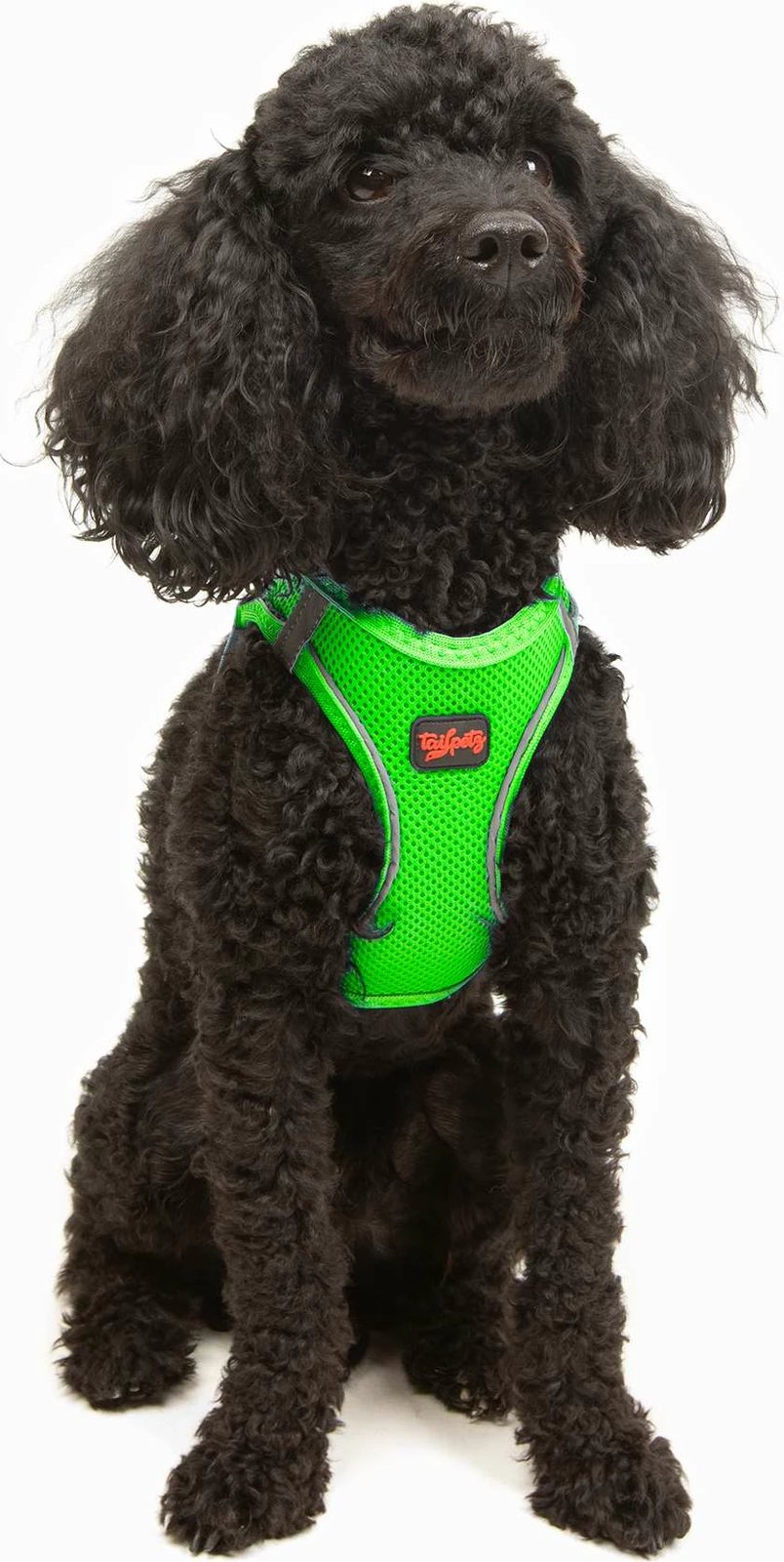 Parzmore për qen, ngjyrë Neo Green, Paws & Whiskers, Air-Mesh, S