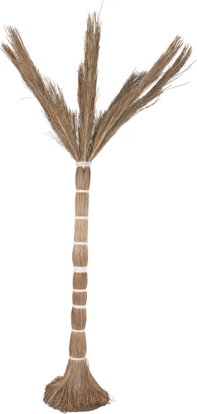 Pemë dekorative tropike, stil kokosi, FH4324, bar Mendong, 280Hcm