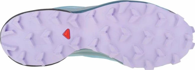 Atlete për vrapim Salomon Speedcross 5 GTX W, blu për femra