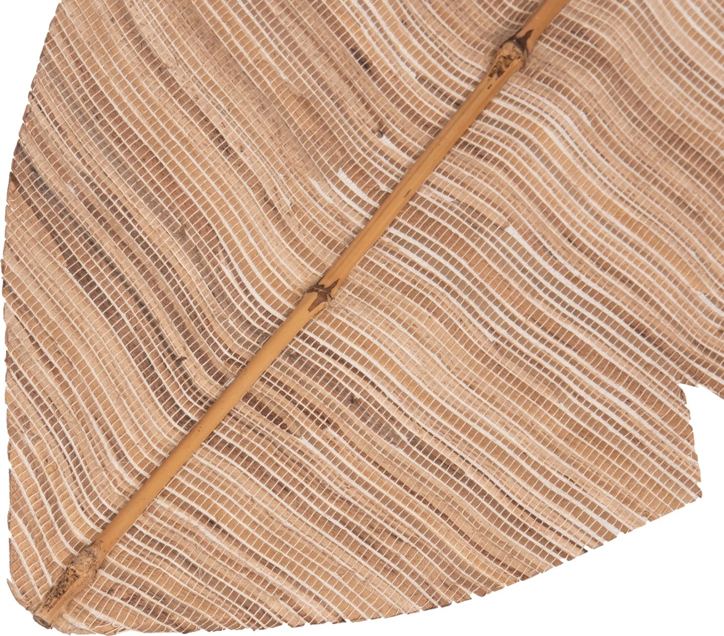 Gjethe dekorative, ngjyrë natyrale, FH7873, 32x200x3 cm