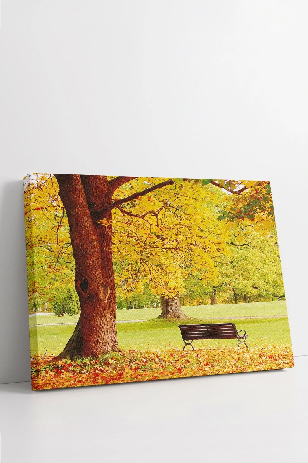 Pikturë dekorative në kanavacë, shumëngjyrëshe, Ersyfdc213, 70x100cm