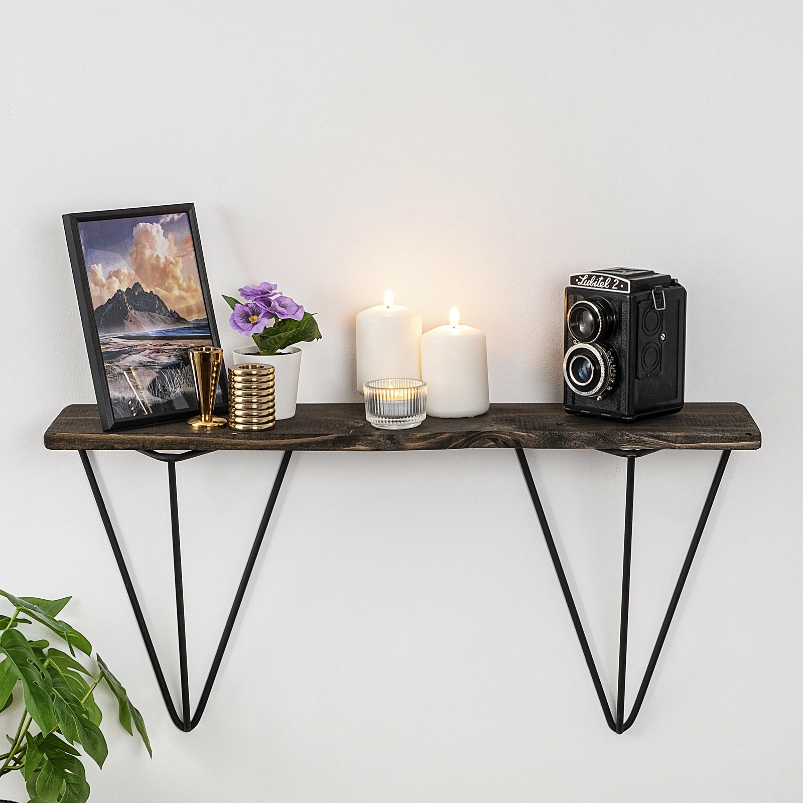 Raft muri industrial, dru bredhi, kornizë metalike, ngjyrë e zezë dhe arre e errët, Gladiolus, 60x30x15cm