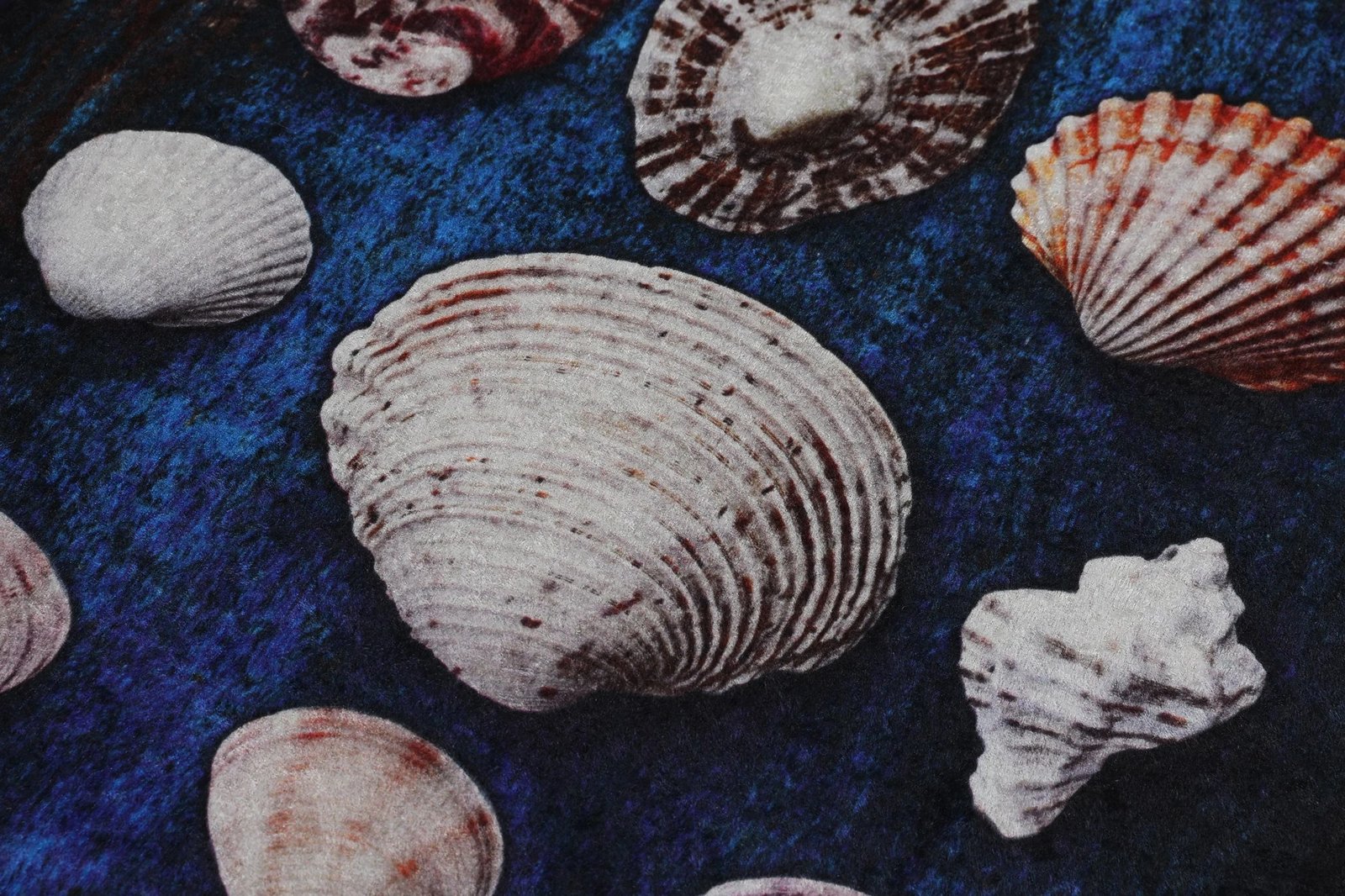 Set tapetash për banjo (3 copë), Mijölnir, Seashell