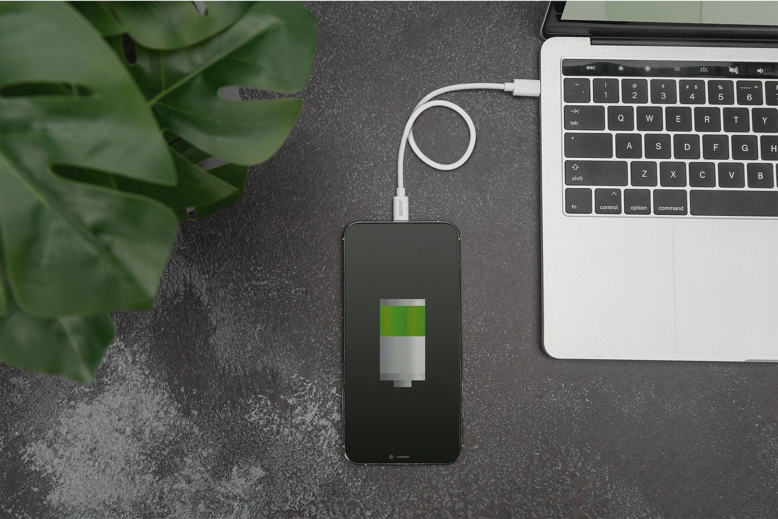 Kabllo Digitus USB-C në Lightning 1m e bardhë