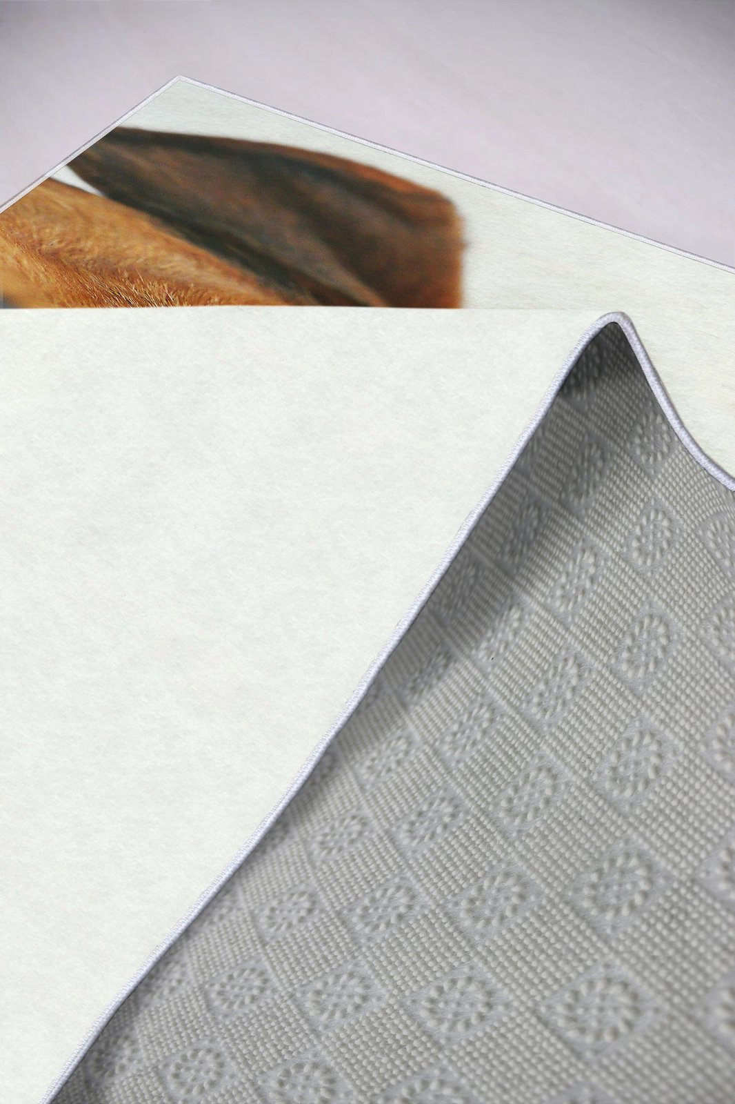 Qilim (180 x 280) Conceptum Hypnose, WOOKECE082, shumëngjyrësh