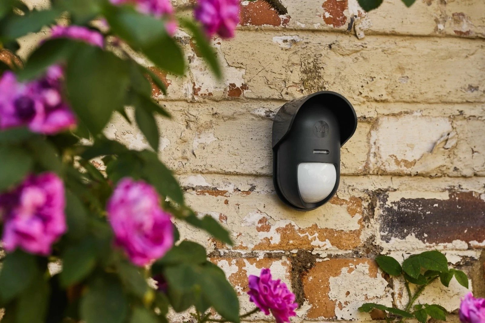 Sensor lëvizjeje i jashtëm Yale Home AL-EPIR-1A-G, i zi Sensor lëvizjeje i jashtëm Yale Home AL-EPIR-1A-G, i zi