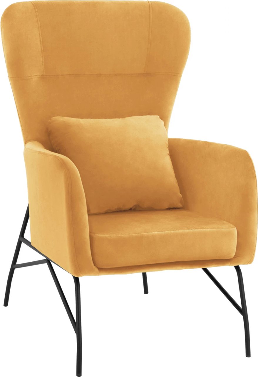 Karrige DANIA, kadife ari, këmbë metalike të zeza, FH8721.09, 67x80x102 cm