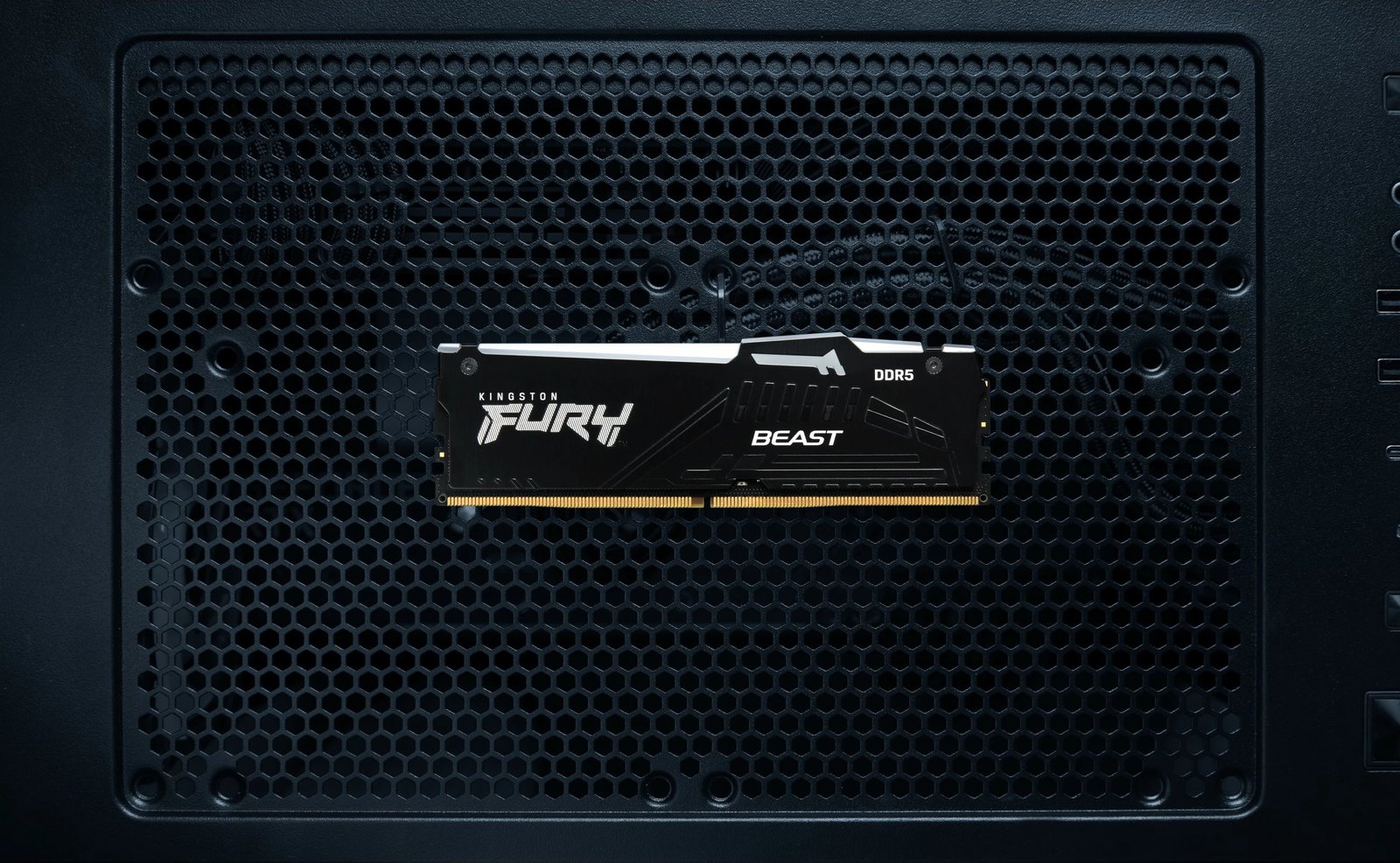 RAM Memorje Kingston FURY Beast RGB EXPO 8GB DDR5 6000MT/s RAM Memorje Kingston FURY Beast RGB EXPO 8GB DDR5 6000MT/s