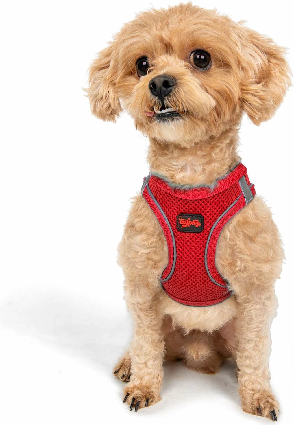 Parzmore për qen, Air-Mesh, ngjyrë garnet