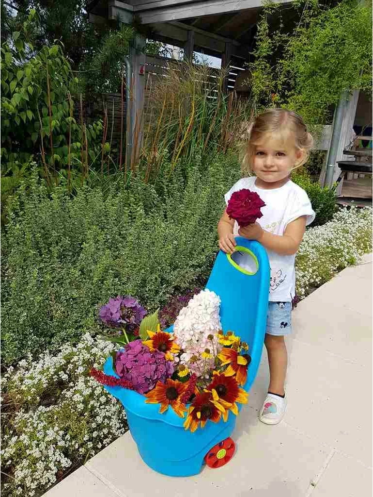 karrocë lojrash multifunksionale për fëmijë, BAYO Daisy, plastike, 60 cm, rozë