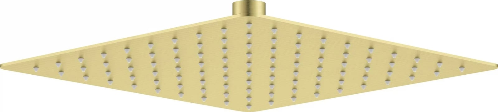 Kokë dushi çeliku deante NAC_R02K, 250x250 mm, Ari