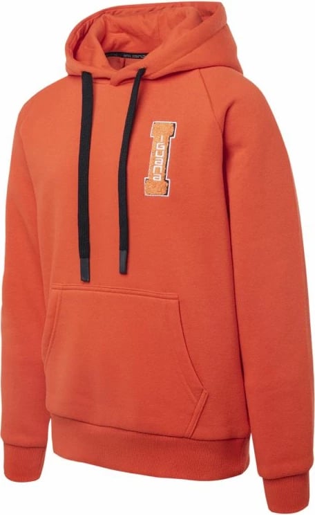 Duks fëmijë Iguana