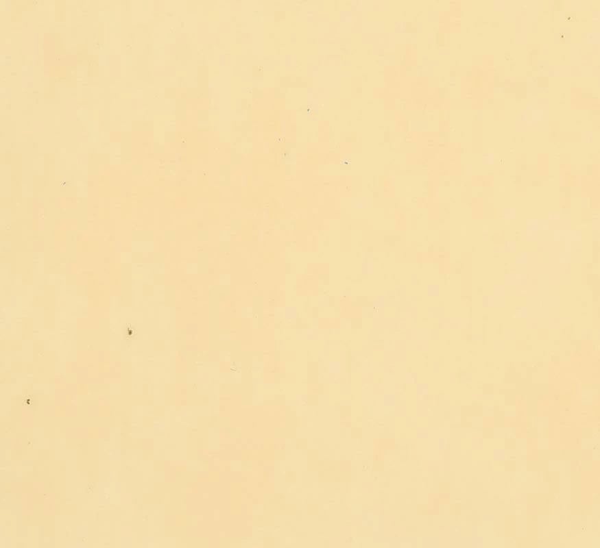 Letër fotokopje NEXT, A4, 80g, 500 fletë, Salmon