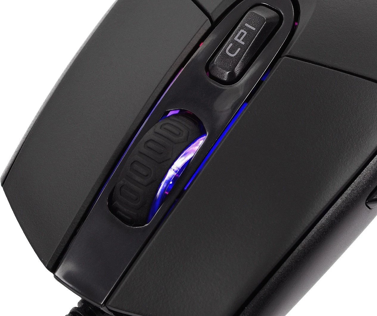 Maus California Access Korat CA1063, i zi 