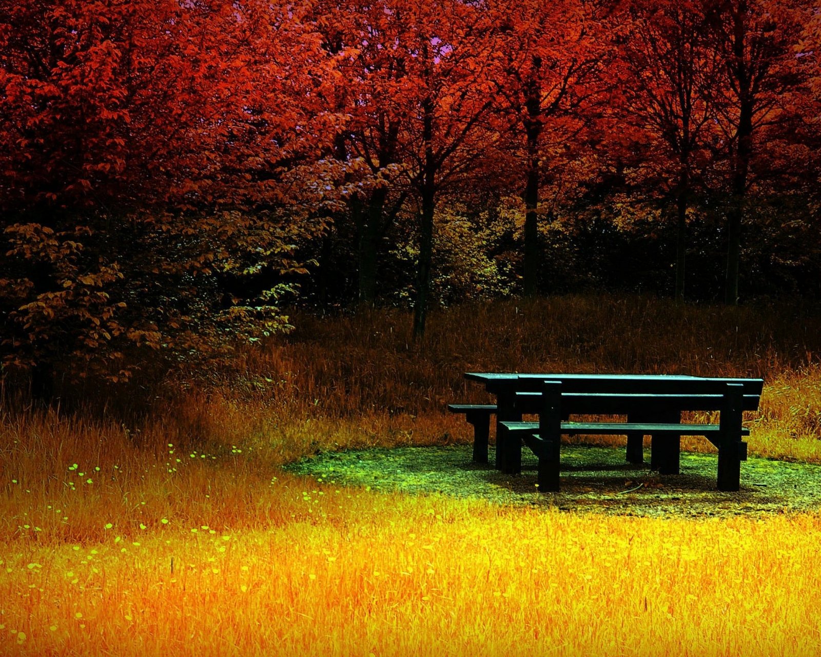 Set tapetash për banjo, 2 copë, Mijolnir, CT-5146