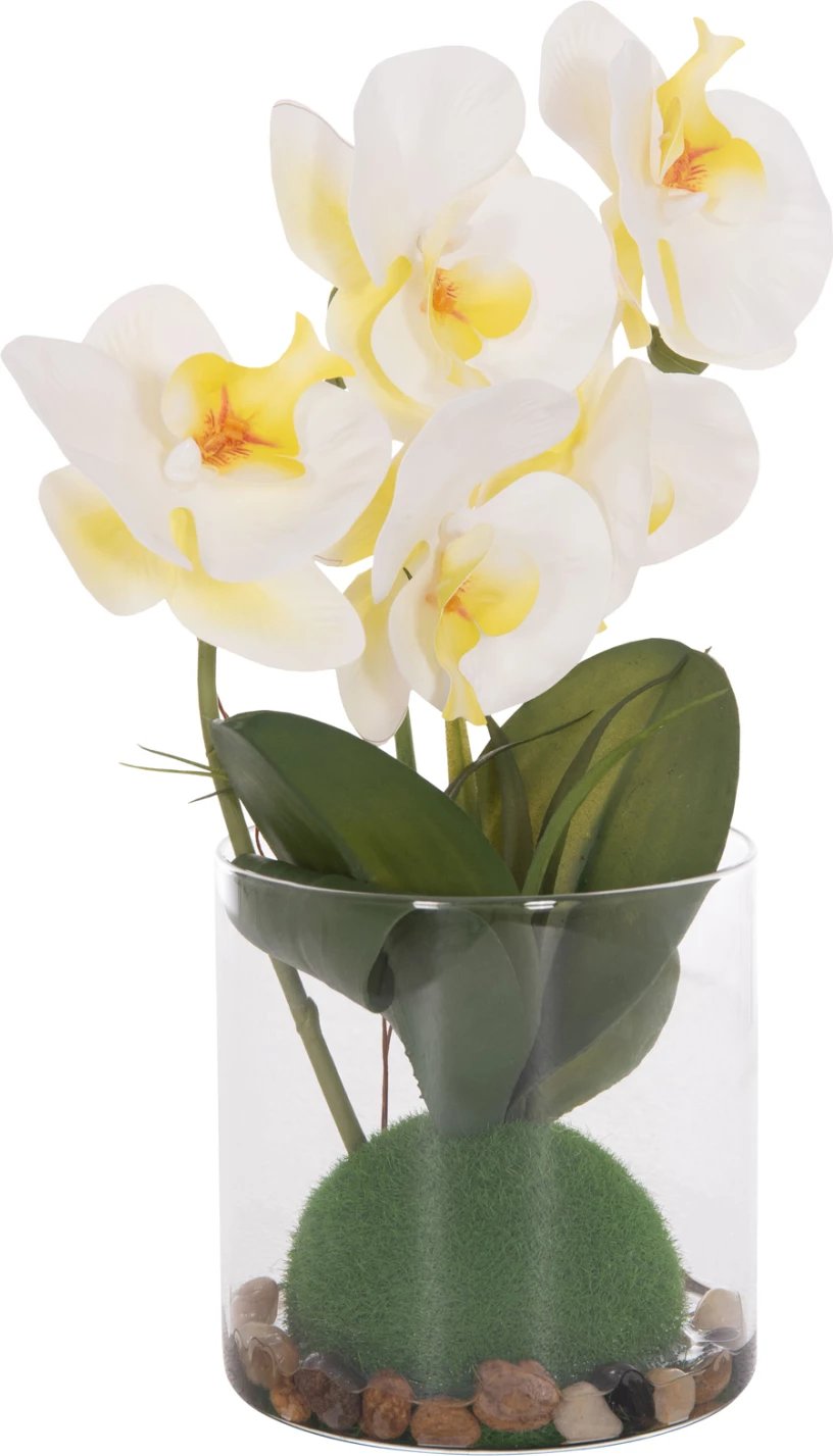 Lule dekorative sintetike Phalaenopsis në vazo qelqi, 12x24x30cm