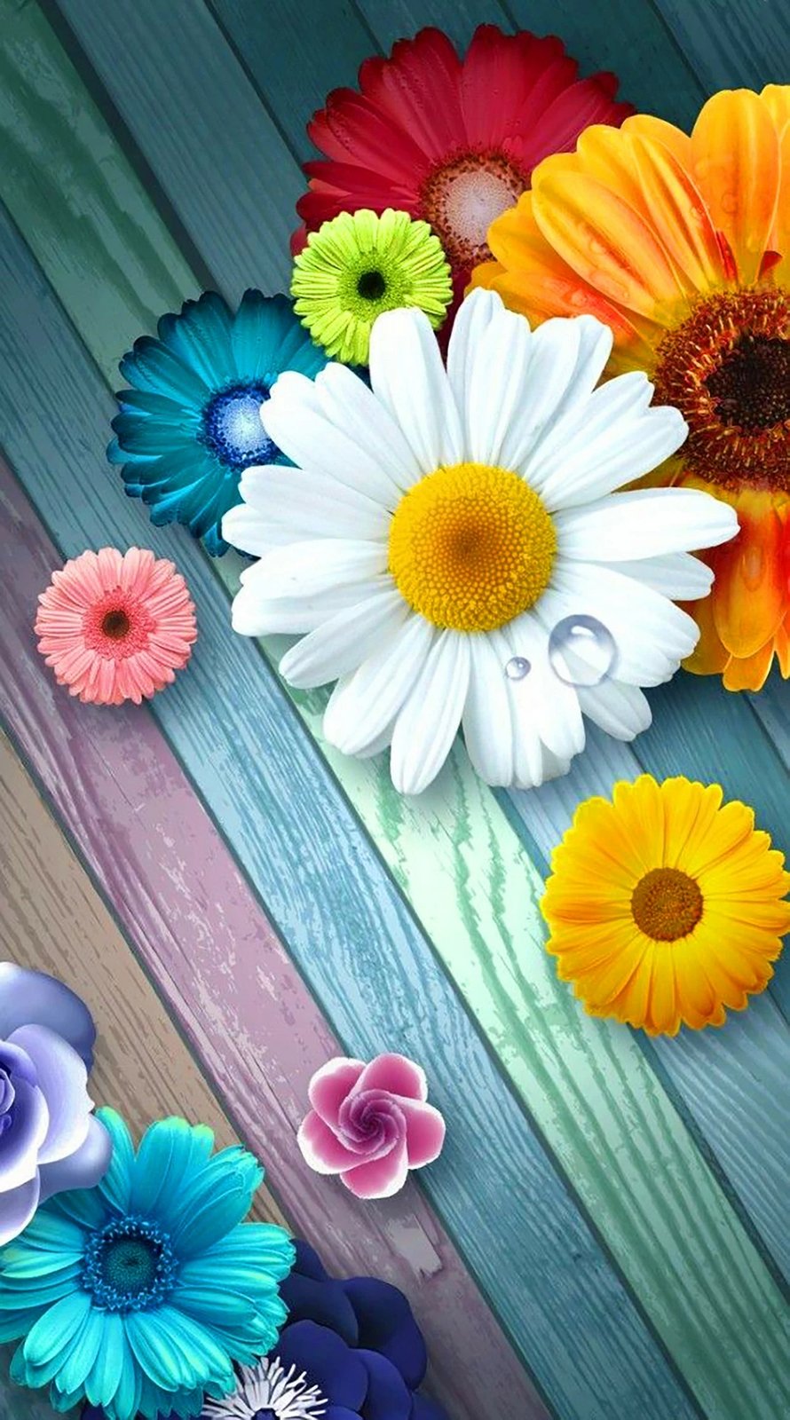 Set tapetash për banjo, 2 copë, Mijölnir, CT-5374