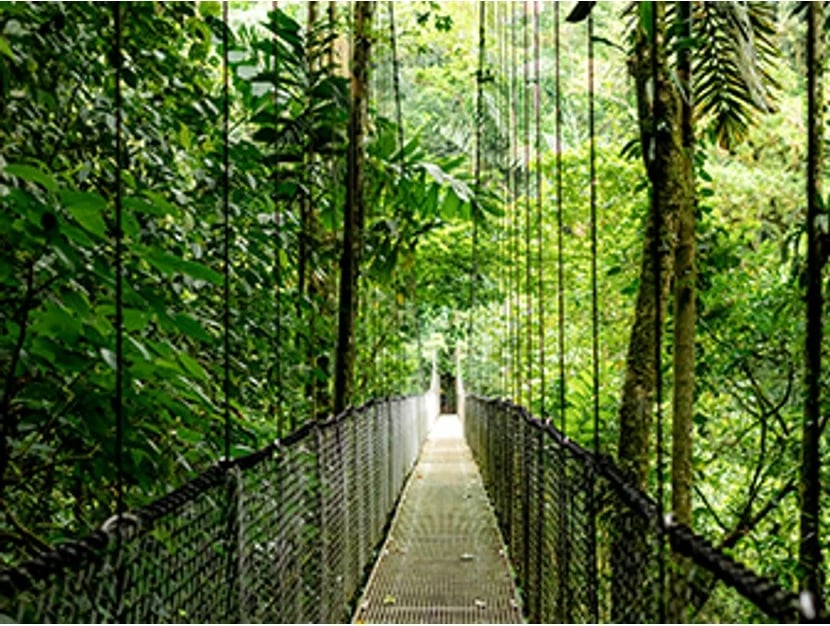 Laptop HP EliteBook 6 G1a, 14", AMD Ryzen AI 5 340, 16 GB RAM, 512 GB SSD, Argjend