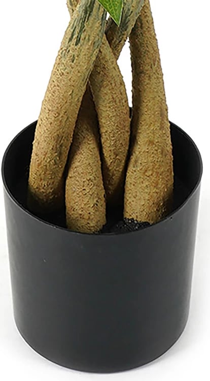 Bimë dekorative Pachira në vazo, ngjyrë e gjelbër, 40x60cm