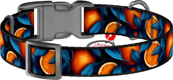 Qafore najloni për qen Waudog Oranges me QR kod, L, portokalli