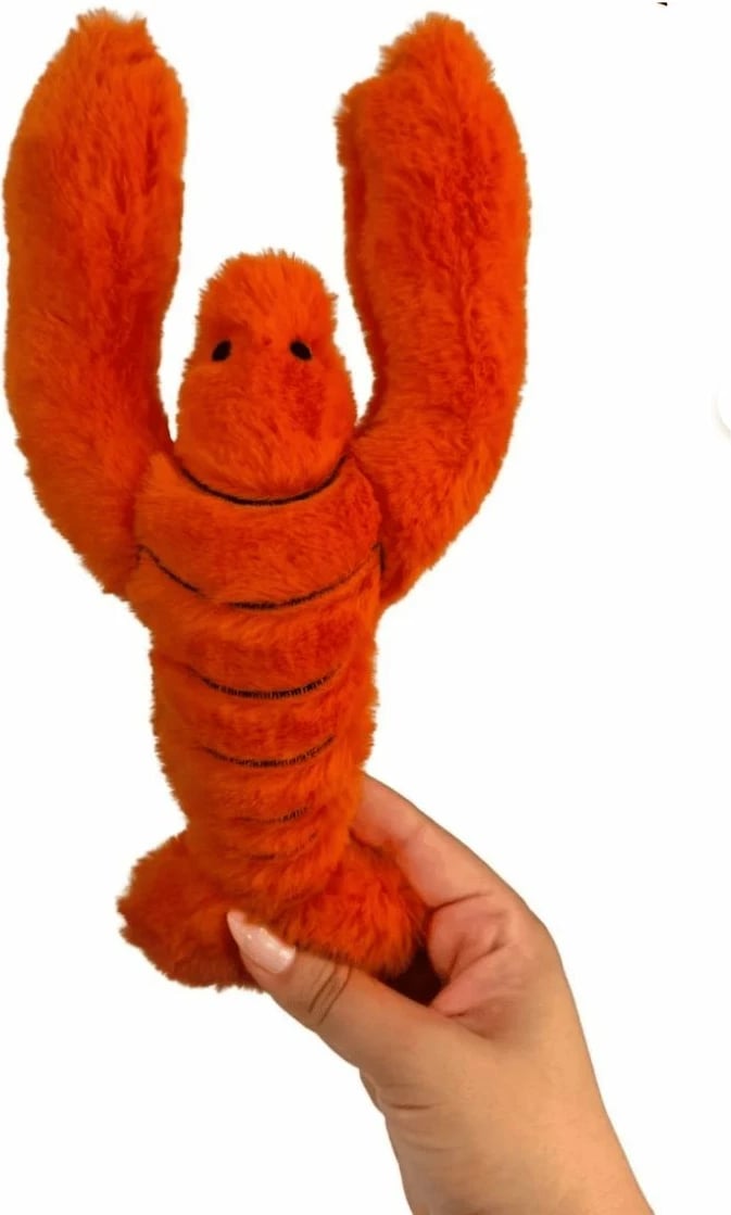 Lodër pelushi për qen, portokalli, Paws & Whiskers, Havhav 1030