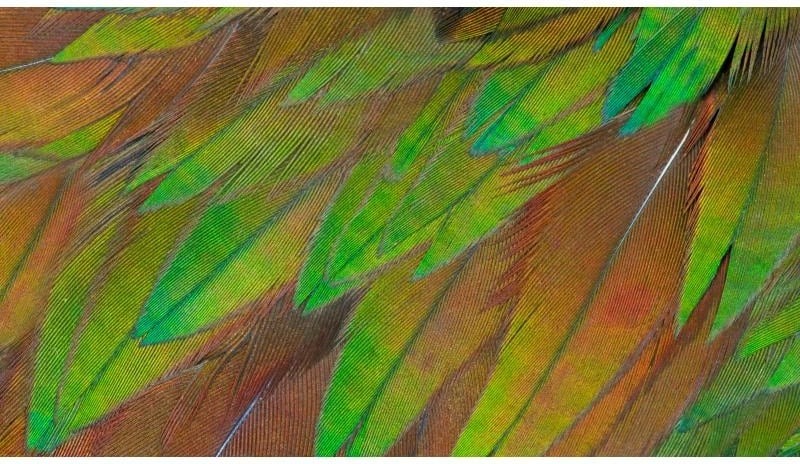 monitor, Philips, 27B1U3900/00 3000 Series, 27", 4K, USB-C, i zi/blu