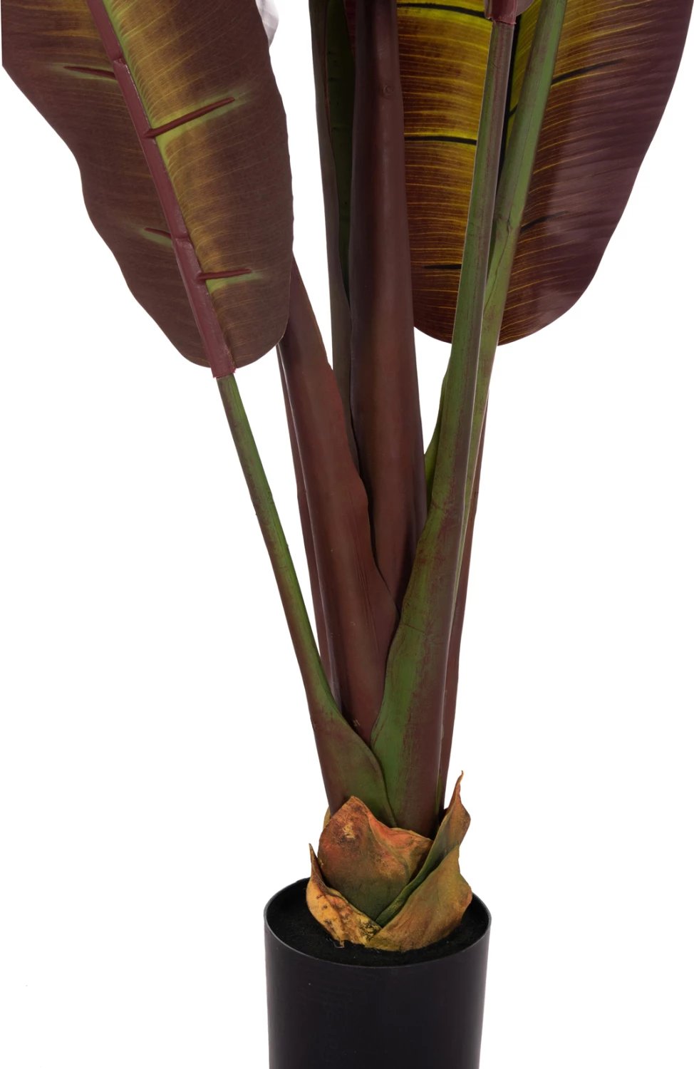 Bimë sintetike dekorative, banane japoneze, vazo, 85x75x225cm