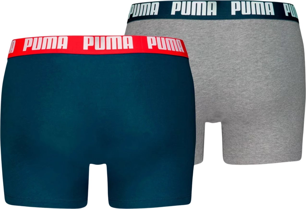 Të brendshme për meshkuj Puma, blu dhe hiri
