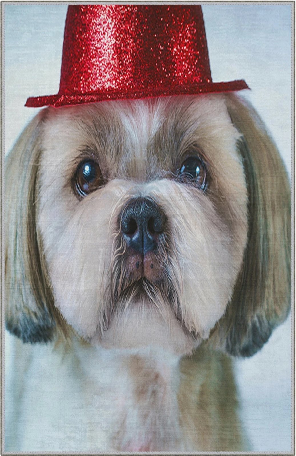 Qilim shumëngjyrësh, 180x280cm, Conceptum Hypnose, KHMFESTO008KEÇE