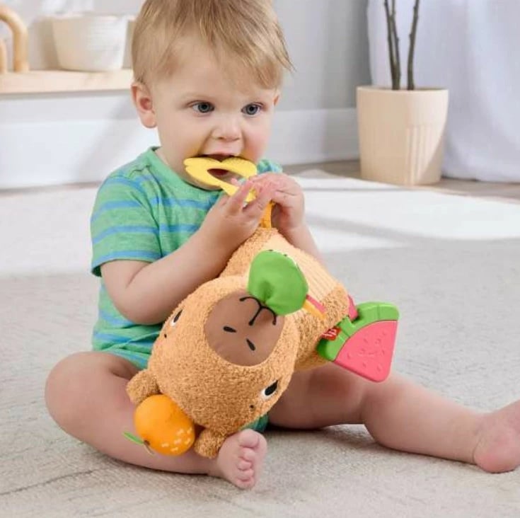 Lodër pelushi sensorike Fisher Price Capybara HYR54, shumëngjyrëshe