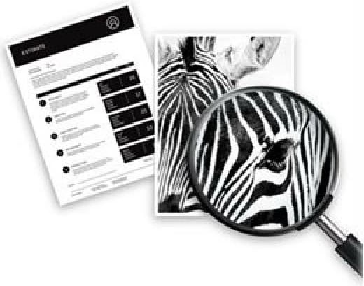 Patron boje, HP, 920XL (CD975AE), rendiment i lartë 47–53 ml, e zezë