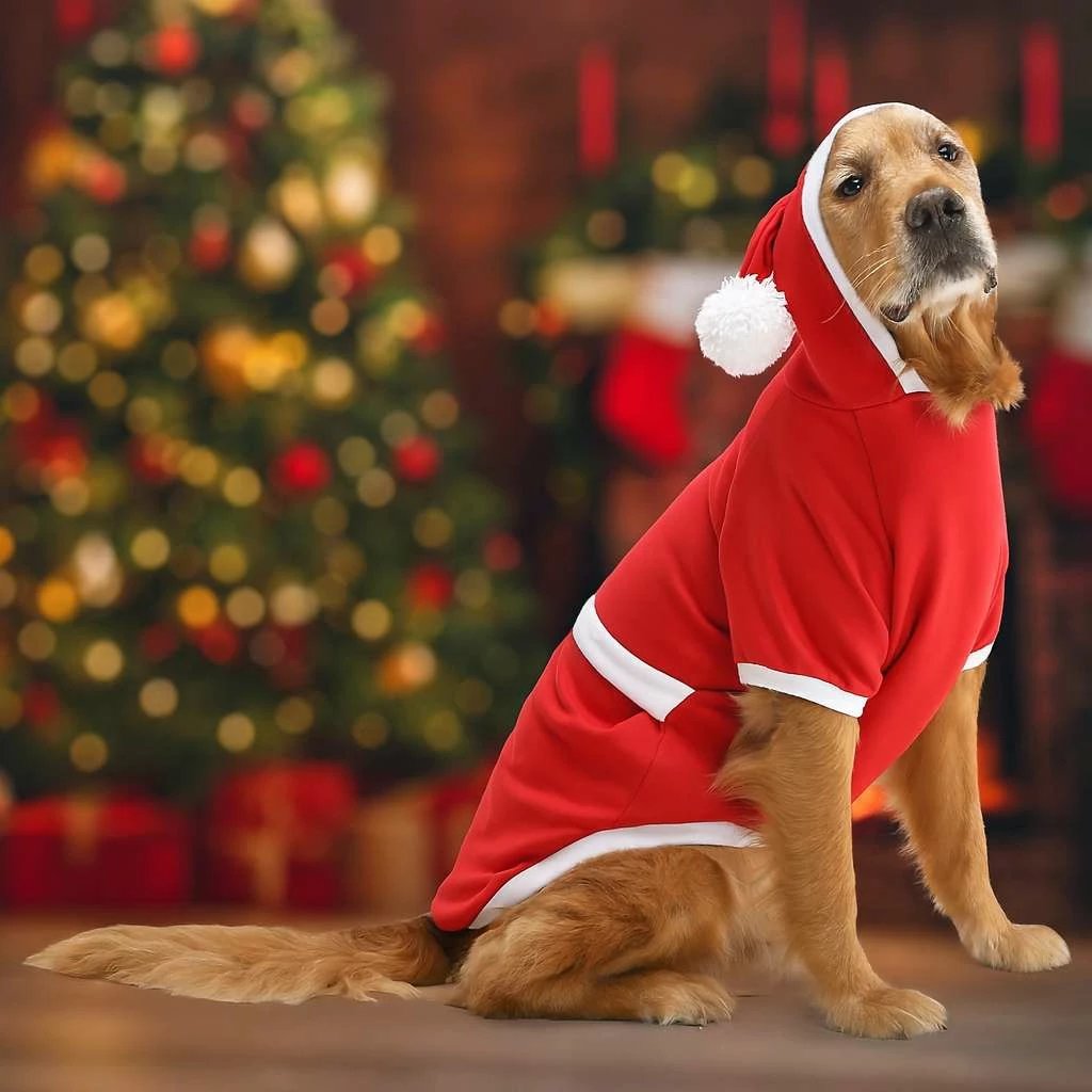 Bluzë me kapuç për qen, e kuqe, Paws & Whiskers, Christmassweat