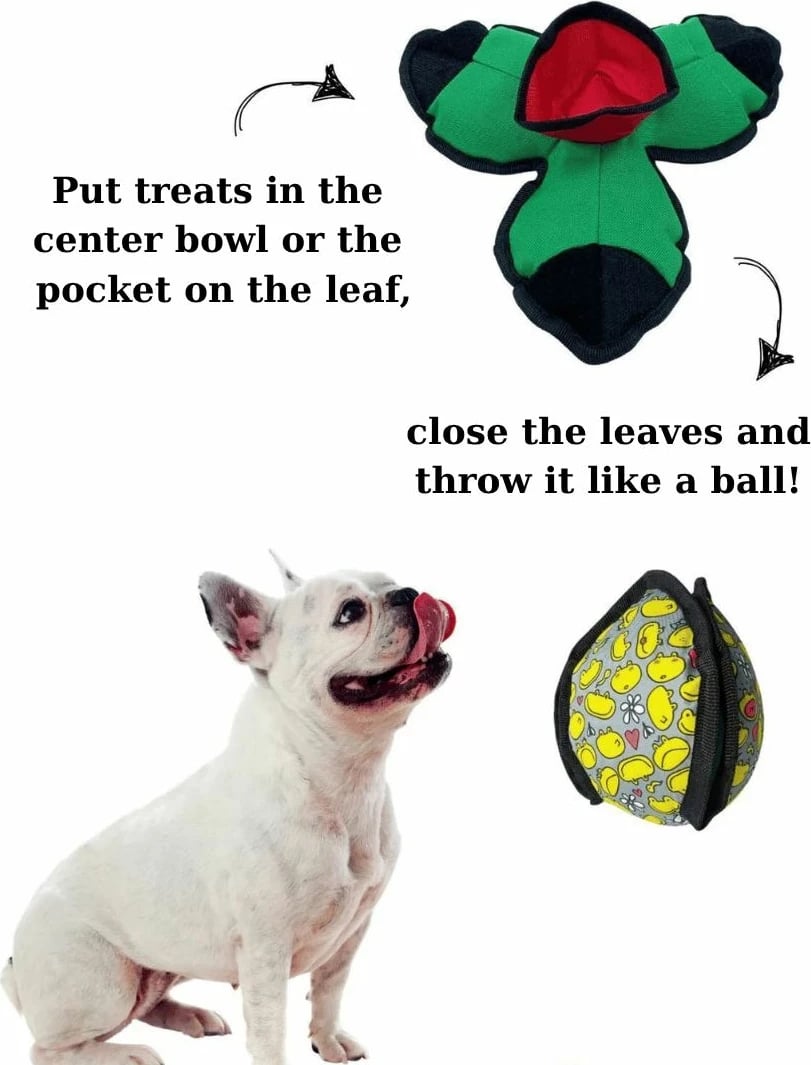 Lodër për qen, Paws & Whiskers, Havhav 1002, ngjyrë e gjelbër/verdhe/zezë, 14x14cm