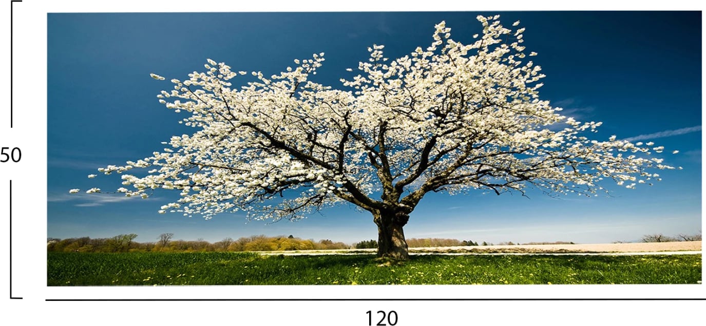 Pikturë muri GOBI FH4792, kanavacë e printuar, 120x3x50cm