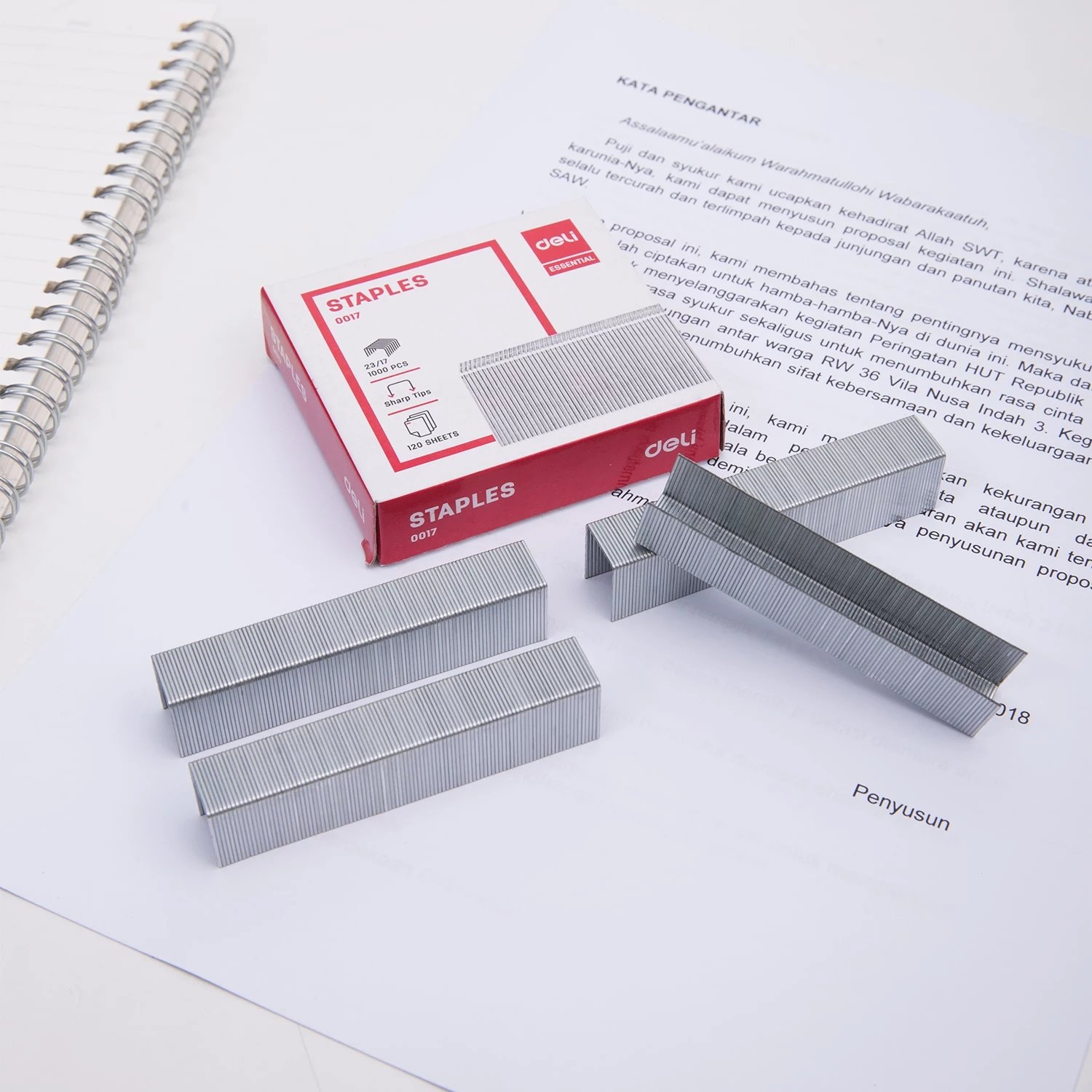 DELI MUNICION 23/17 0017 1/5