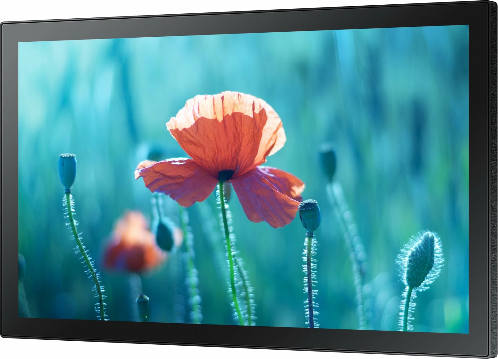 Panel interaktiv Samsung QB13R-TM, 13 inç, Full HD, Wi-Fi, Touchscreen, Charcoal Black