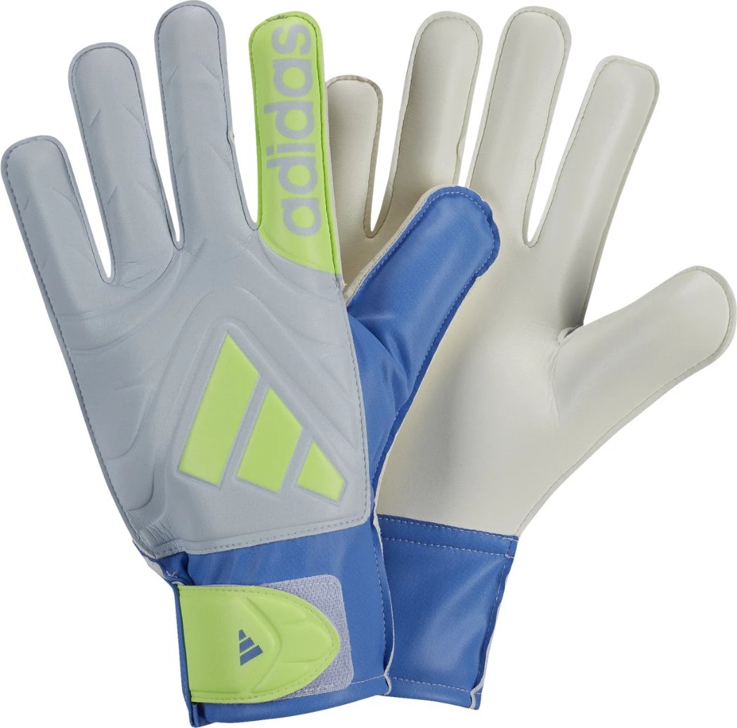 Doreza portieri për femra adidas, të kaltra