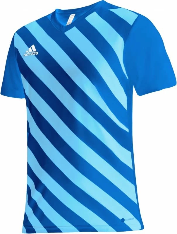 Fanellë për fëmijë adidas Entrada 22 Graphic Jersey, blu
