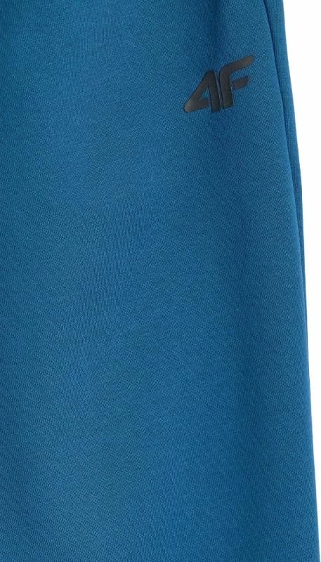 Pantallona për meshkuj 4f, ngjyrë e gjelbër deti