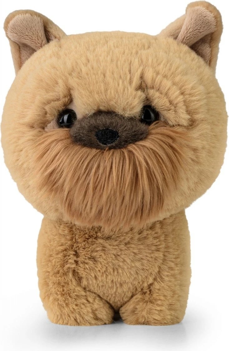 Lodër pelushi Daffi Teddy Pets Gnome Brussels, 19 cm, kafe