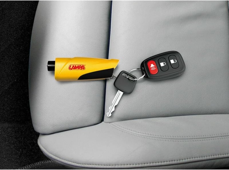 Varese Celsash Emergjente