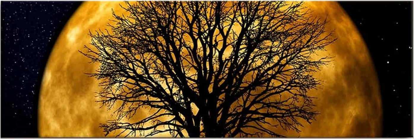 Pikturë dekorative në kanavacë me drita LED, Wallity, 3090DACT-71