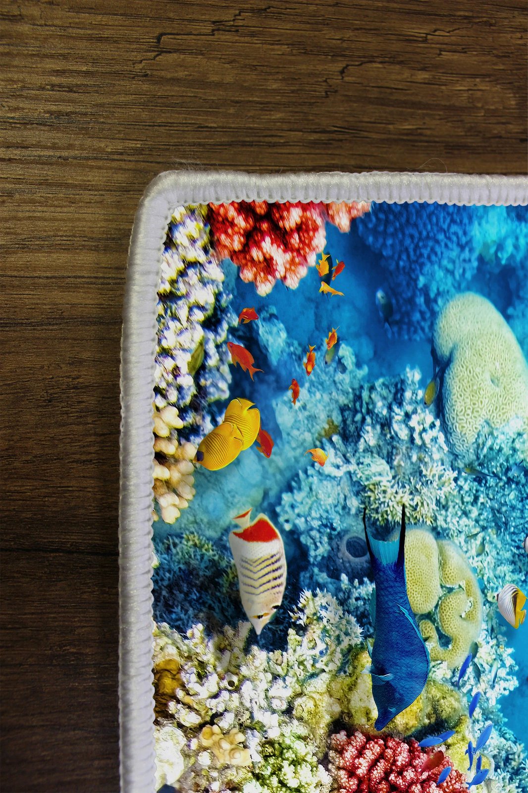 Qilim Conceptum Hypnose, shumëngjyrësh, Wookece166, 60x100cm