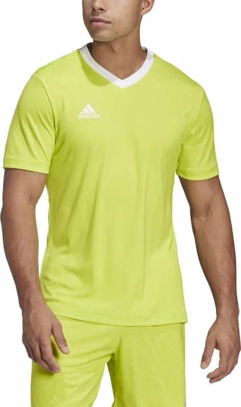 Maicë futbolli për meshkuj adidas, e gjelbër