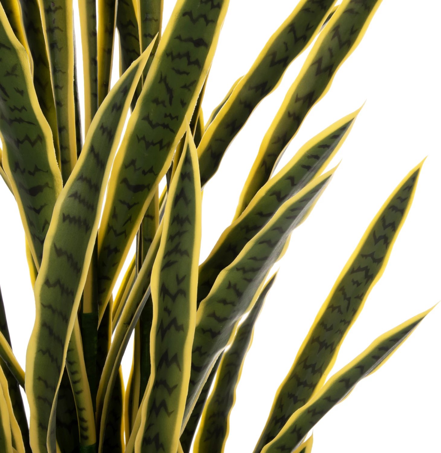 Bimë sintetike dekorative në vazo, FH7994.01, SANSEVIERIA, gjelbër-verdhë, 150Hcm