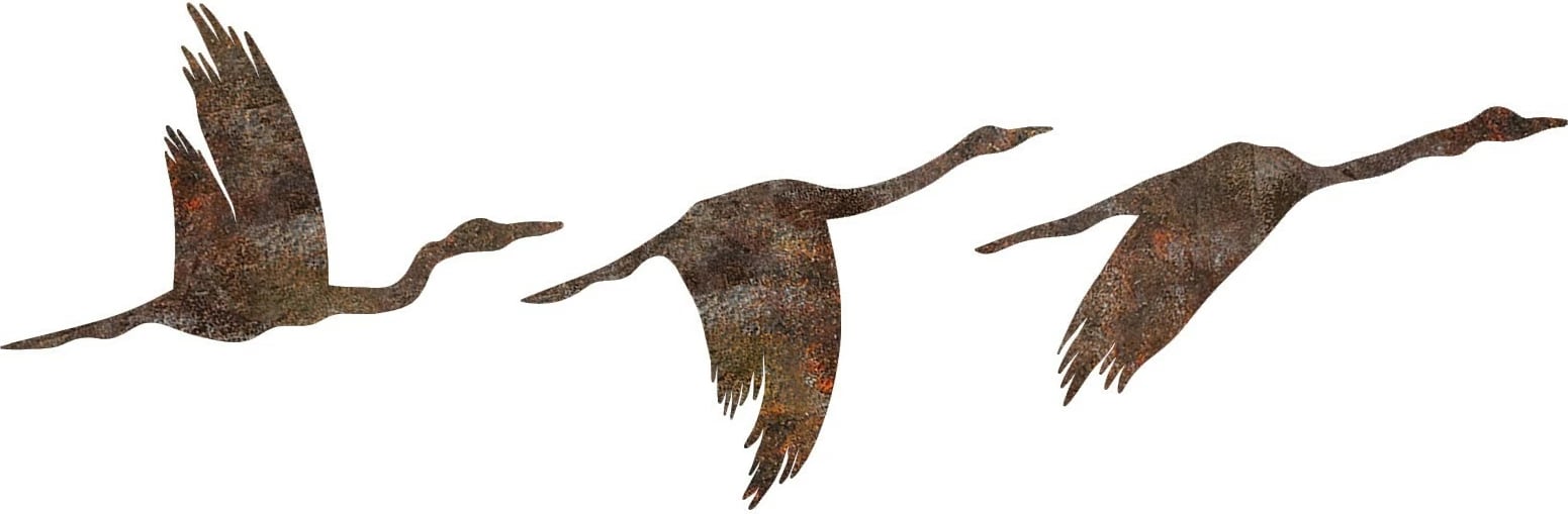 Aksesor dekorativ metalik për mur, zogj të ndryshkur, Wallity Aksesor dekorativ metalik për mur, zogj të ndryshkur, Wallity